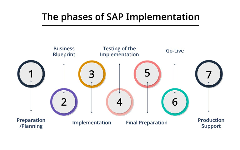 successful sap implementation case study