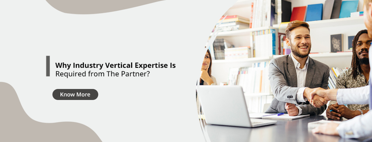 Why Industry Vertical Expertise Is Required from The Partner?