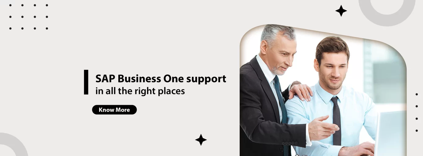 SAP-Business-One-support