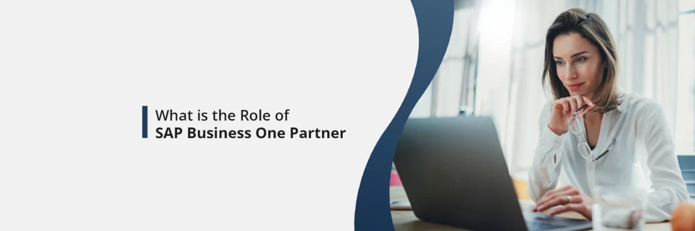 What is the Role of SAP Business One Partner